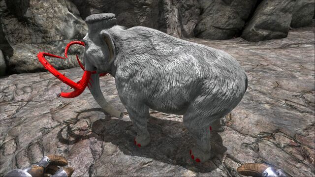 File:Mammoth PaintRegion2.jpg