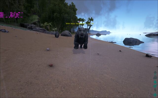 File:ARK-Sabertooth Screenshot 004.jpg