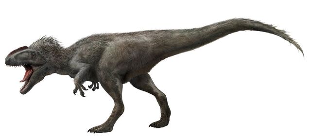 File:I-4b616623c9a3da70c1bd67ba57332934-Yutyrannus2.jpg