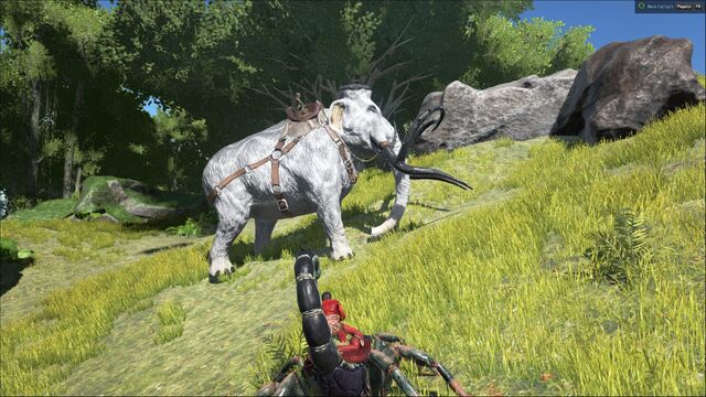 File:Mammoth Scorpion.jpg