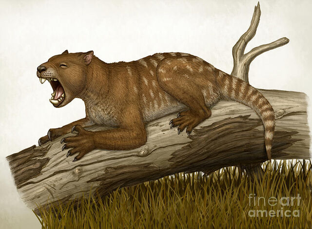 File:Thylacoleo-carnifex-a-marsupial-heraldo-mussolini.jpg