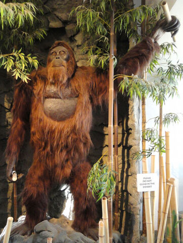 File:Gigantopithecus-blacki.jpg