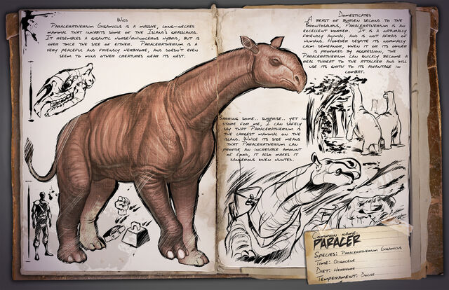 File:31 - Paraceratherium.jpg