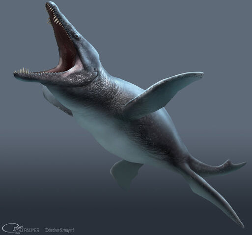 File:33ab2c3c721358c4616de718551a6d63.jpg