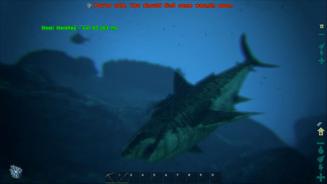 File:ARK-Megalodon Screenshot 007.jpg
