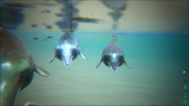 File:ARK-Ichthyosaurus Screenshot 001.jpg