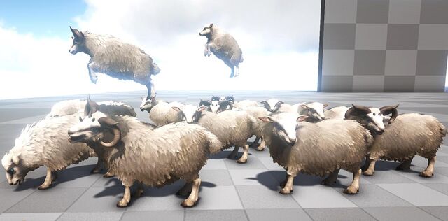 File:Large.ARK Ovis.jpg.2c268a8127c614874ca81ae70d8334bd.jpg