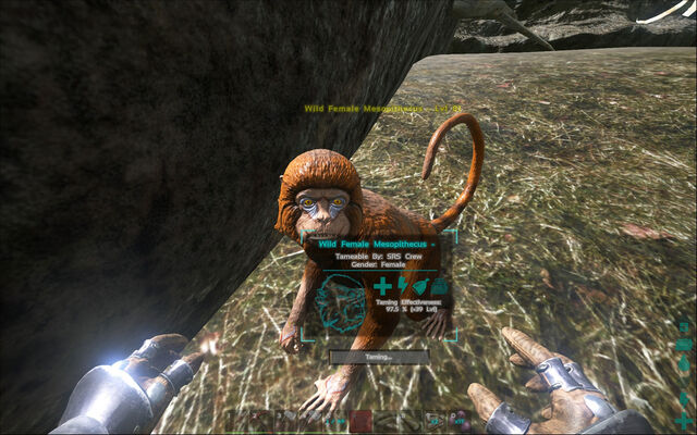 File:ARK-Mesopithecus Screenshot 013.jpg