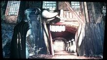 Images (6)