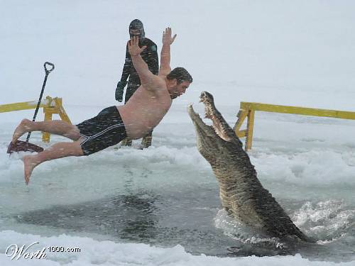 File:1188490594 Croc.jpg