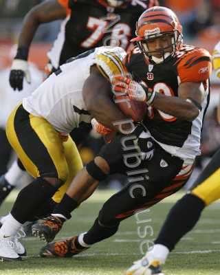 File:Img 41846 t.jpg