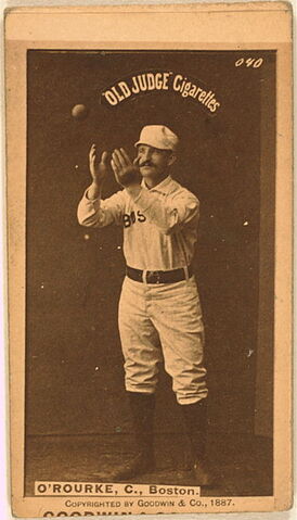 File:Player profile O'Rourke.jpg