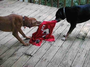 File:VickDogs2.JPG
