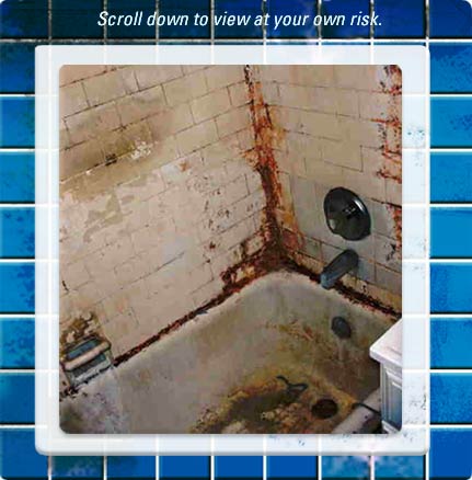 File:1196647835 PSUshower.jpg