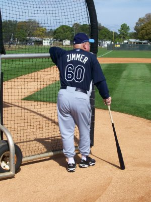 Zimmerrays