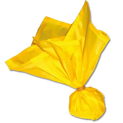 File:1187040724 Yellow.jpg