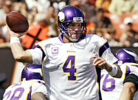 Favrebrettvikings