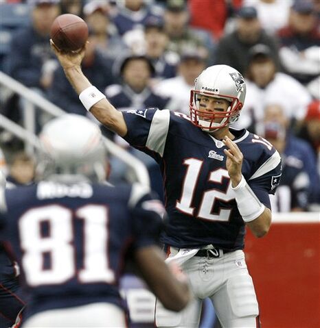File:Bradyt.jpg