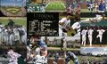 Thumbnail for version as of 17:20, September 6, 2010