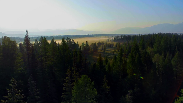 File:Fontainebleau Forest.png