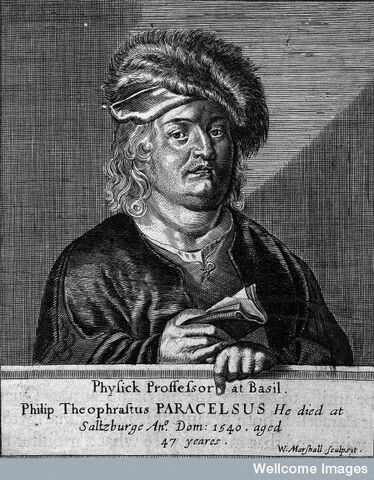 Ficheiro:Paracelsus.jpg