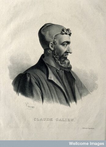 Ficheiro:Galen=trb2.jpg