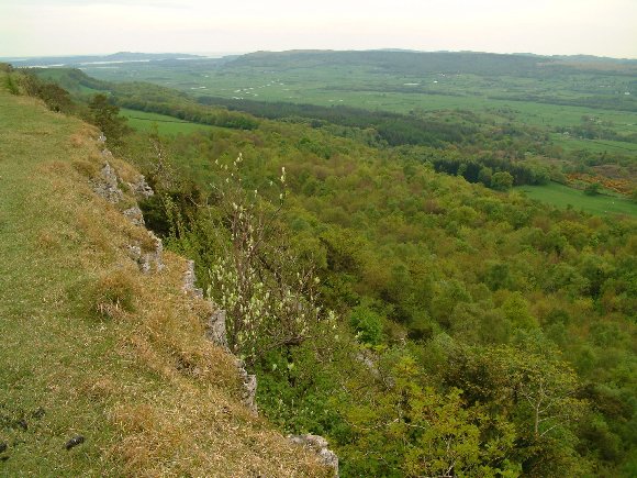 File:The Wall.jpg