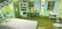 Hikari Gojo's Clinic