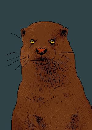 File:Eurasian Otter.JPG