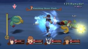 Punishing Beast Flash (ToV)