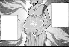 Yanagisawa's plan
