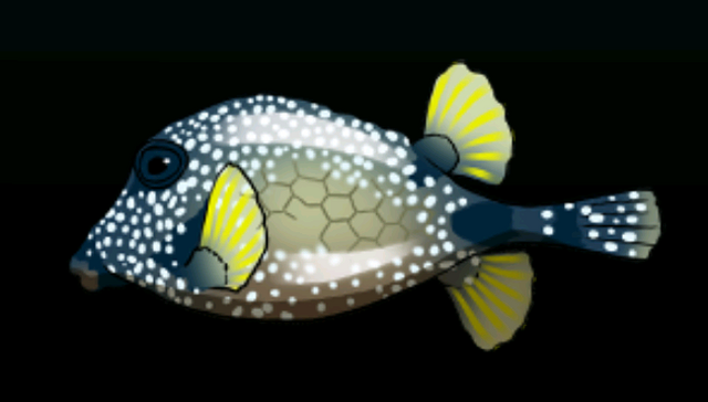 File:SmoothTrunkfishACP.png