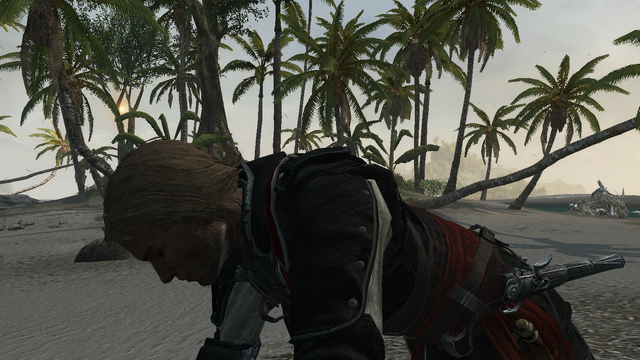 Файл:AC4-Hunting.png