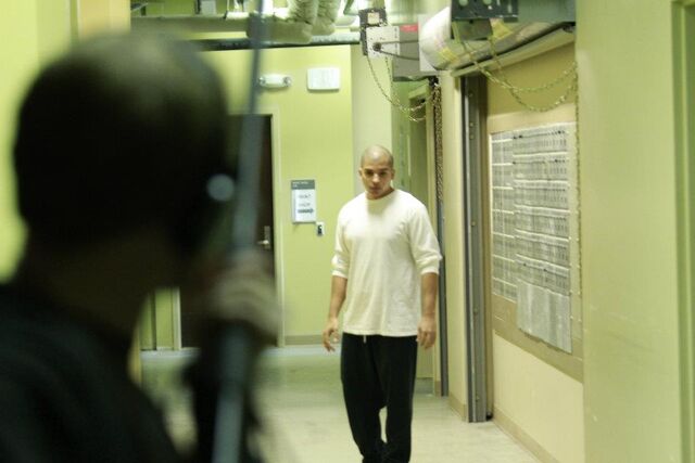 File:ACP Still.jpg