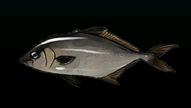 File:AmberjackACP.png