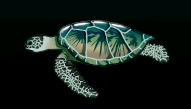 File:GreenSeaTurtleACP.png