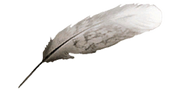 Plumes.png