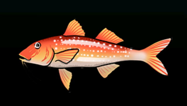 File:SpottedGoatfishACP.png