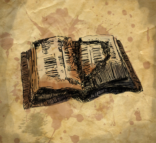 File:MfPartiallyBurntDiary.png