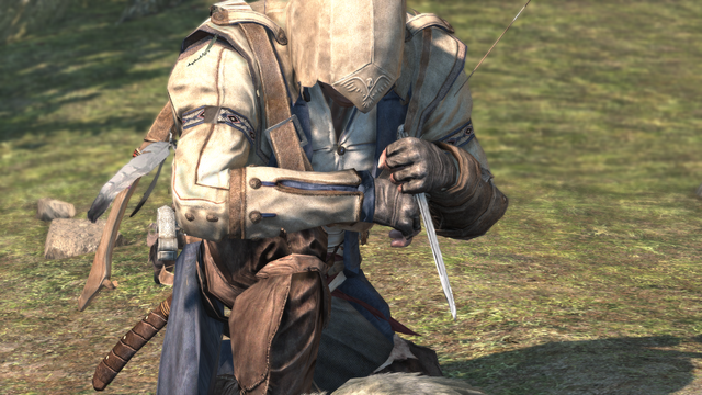 File:AC3 Skinning.png