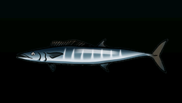 File:PetoACP.png