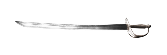 File:AC3 Hanger Sword.png