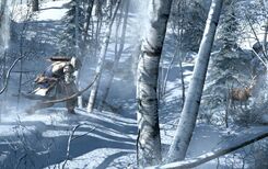 ACIII-GI (15).jpg