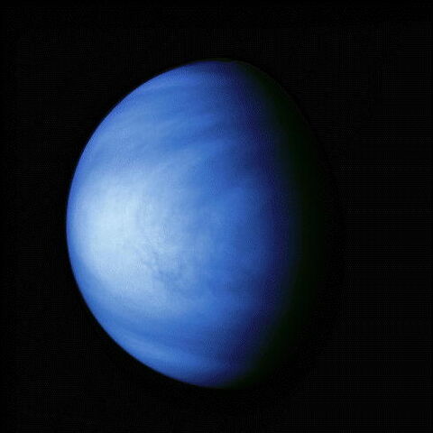 Файл:Venere01.jpg