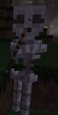 File:Skeleton.jpg