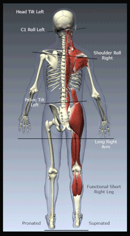 File:Atlas Roll Patterns.gif
