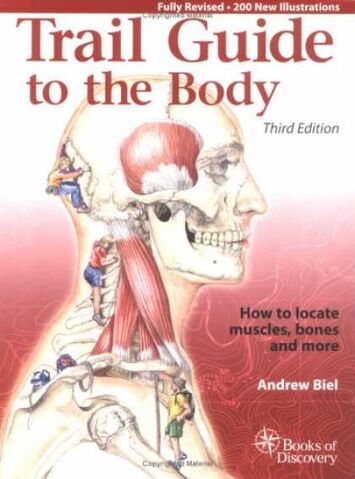 File:TGtoBody.jpg