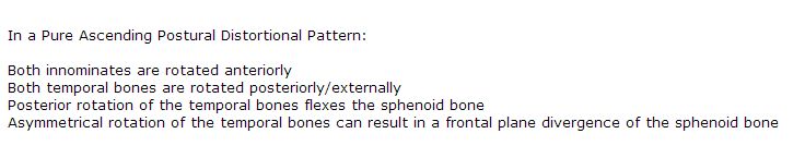 Info Sphenoid Temporal Coupling PAPDP.gif