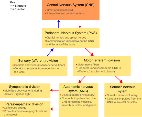 File:NSsystem.png