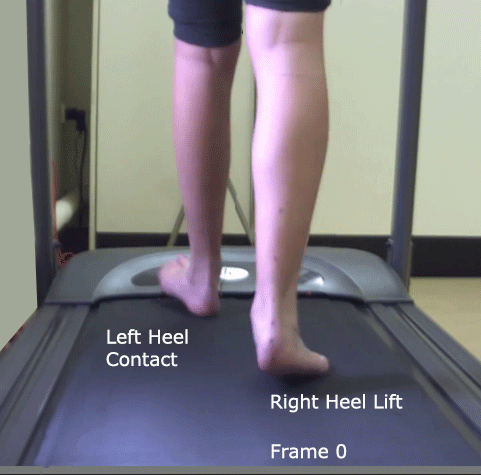 Treadmill-PCFD-Labeled-Frames